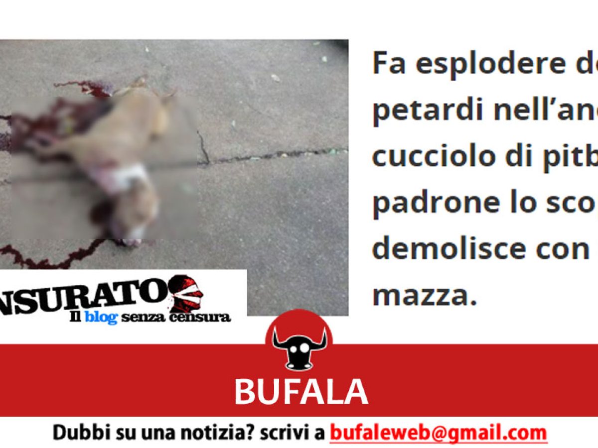 Trovato in possesso di 10 petardi 'pitbull', denunciato trentenne