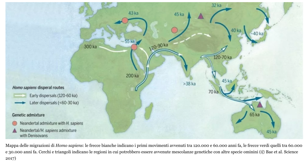 Mappa delle migrazioni, fonte "Le Scienze"