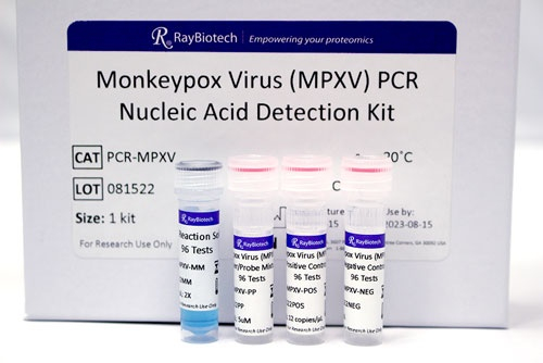 Un kit da laboratorio PCR per il rilevamento dell'acido nucleico del virus Mpox (MPXV). Image credit: RayBiotech