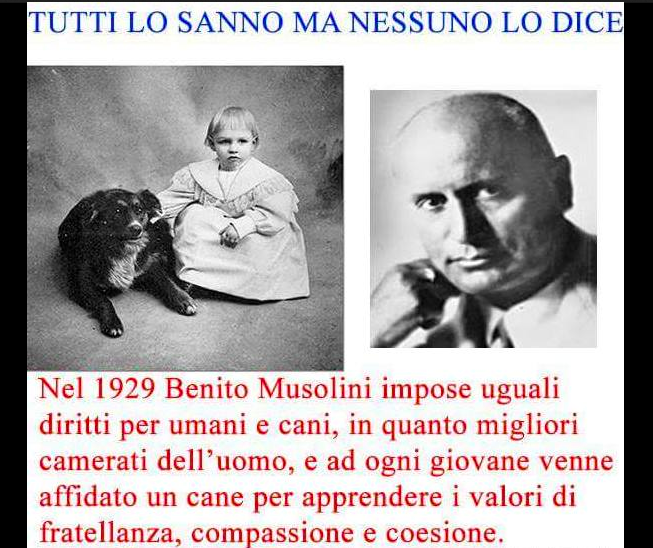 Per Mussolini il cane era il miglior camerata dell’uomo e li regalava alle famiglie? No!