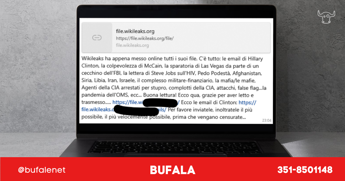 bufala sindaco di lonigo