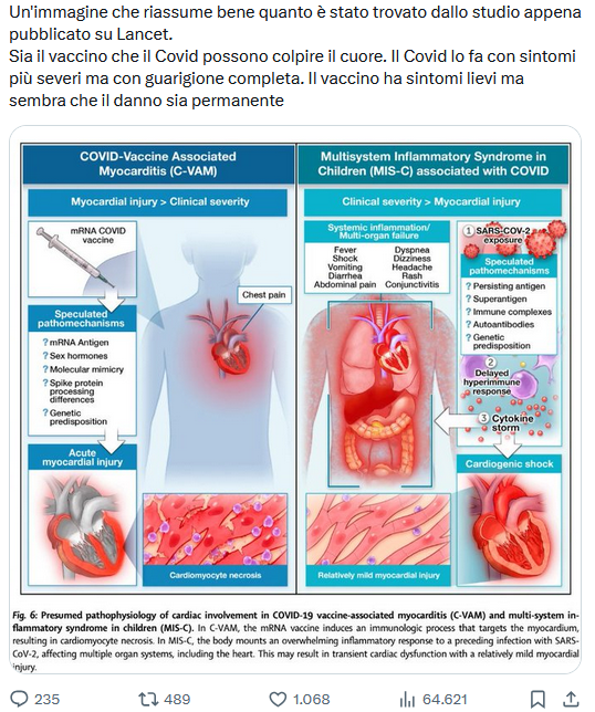 Questo grafico sul rischio di miocardite dopo il vaccino e sulla guarigione dal COVID è presentato in modo fuorviante