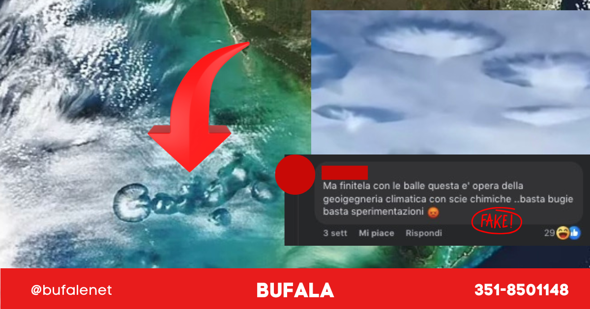 bufala sindaco di lonigo