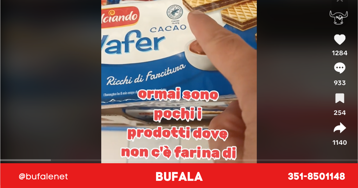 bufala sindaco di lonigo